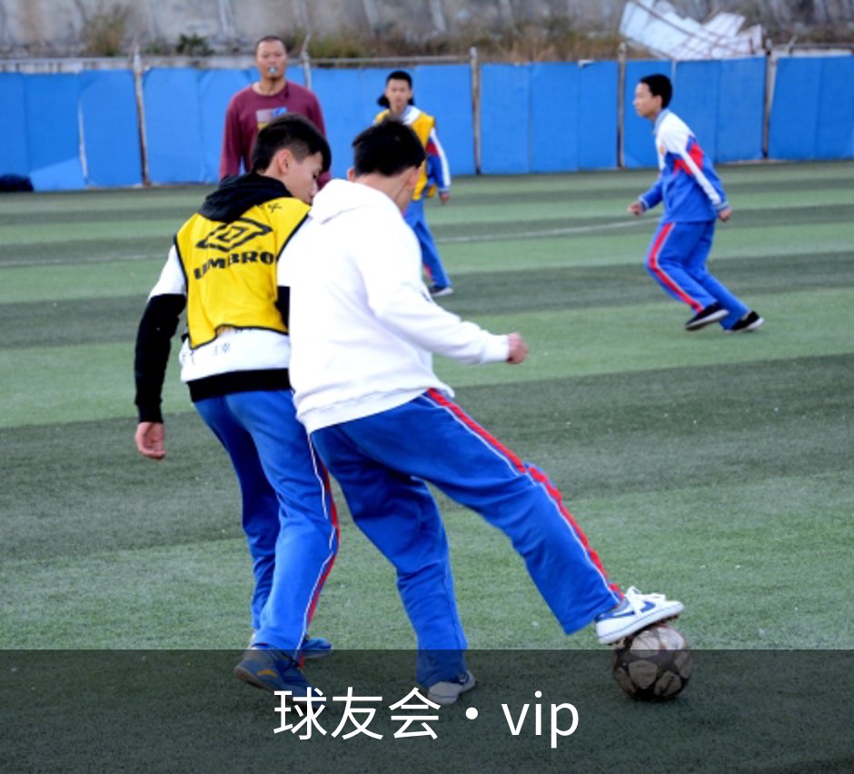 球友会·vip简介